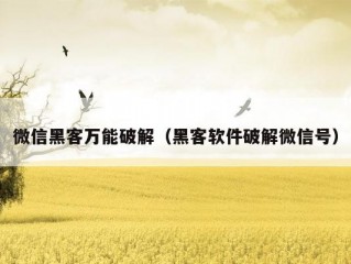 微信黑客万能破解（黑客软件破解微信号）