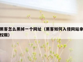 黑客怎么黑掉一个网址（黑客如何入侵网站拿权限）