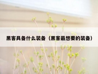 黑客具备什么装备（黑客最想要的装备）