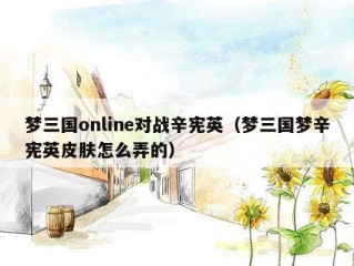 梦三国online对战辛宪英（梦三国梦辛宪英皮肤怎么弄的）