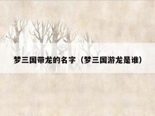 梦三国带龙的名字（梦三国游龙是谁）