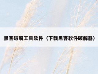 黑客破解工具软件（下载黑客软件破解器）