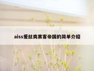 aiss爱丝爽黑客帝国的简单介绍