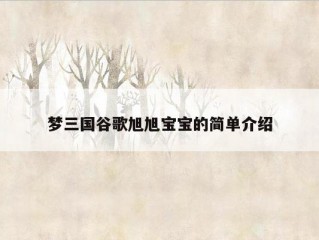 梦三国谷歌旭旭宝宝的简单介绍