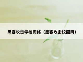 黑客攻击学校网络（黑客攻击校园网）