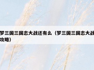 梦三国三国志大战还有么（梦三国三国志大战攻略）