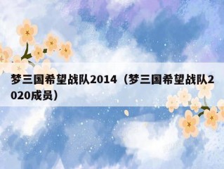 梦三国希望战队2014（梦三国希望战队2020成员）