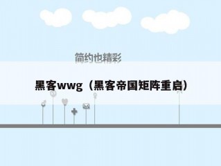 黑客wwg（黑客帝国矩阵重启）