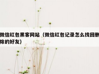 微信红包黑客网站（微信红包记录怎么找回删除的好友）