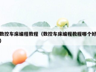 数控车床编程教程（数控车床编程教程哪个好）