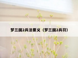 梦三国2兵法要义（梦三国2兵符）