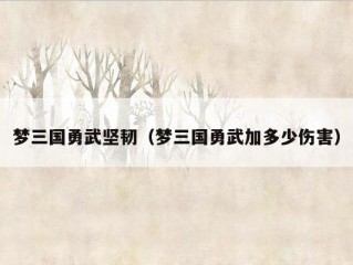 梦三国勇武坚韧（梦三国勇武加多少伤害）