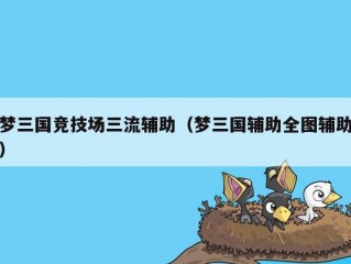 梦三国竞技场三流辅助（梦三国辅助全图辅助）