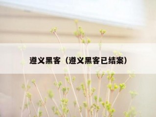 遵义黑客（遵义黑客已结案）