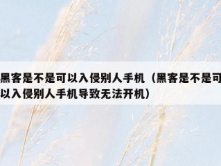 黑客是不是可以入侵别人手机（黑客是不是可以入侵别人手机导致无法开机）