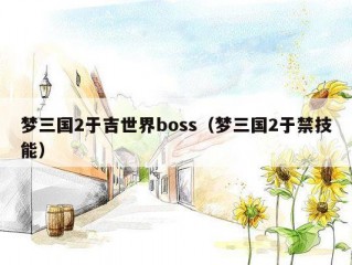 梦三国2于吉世界boss（梦三国2于禁技能）