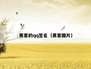 黑客的qq签名（黑客图片）