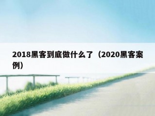 2018黑客到底做什么了（2020黑客案例）