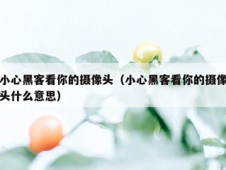 小心黑客看你的摄像头（小心黑客看你的摄像头什么意思）