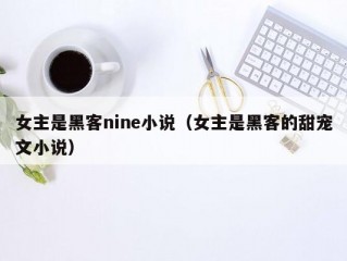 女主是黑客nine小说（女主是黑客的甜宠文小说）