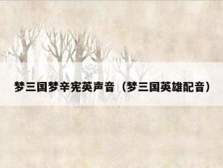 梦三国梦辛宪英声音（梦三国英雄配音）