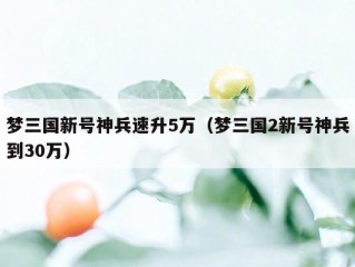 梦三国新号神兵速升5万（梦三国2新号神兵到30万）