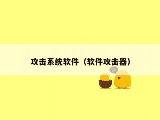 攻击系统软件（软件攻击器）