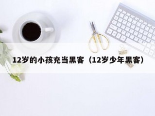 12岁的小孩充当黑客（12岁少年黑客）