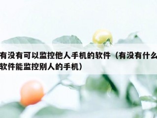 有没有可以监控他人手机的软件（有没有什么软件能监控别人的手机）