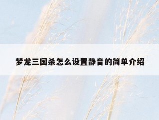 梦龙三国杀怎么设置静音的简单介绍