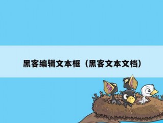 黑客编辑文本框（黑客文本文档）