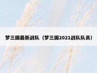 梦三国最新战队（梦三国2021战队队员）