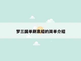 梦三国单刷袁绍的简单介绍