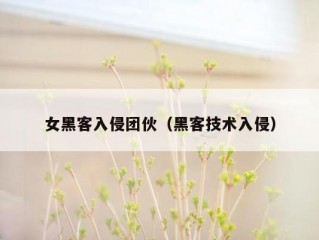 女黑客入侵团伙（黑客技术入侵）