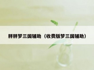 胖胖梦三国辅助（收费版梦三国辅助）