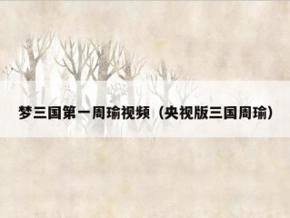 梦三国第一周瑜视频（央视版三国周瑜）