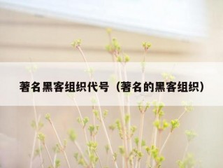 著名黑客组织代号（著名的黑客组织）