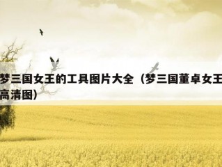 梦三国女王的工具图片大全（梦三国董卓女王高清图）