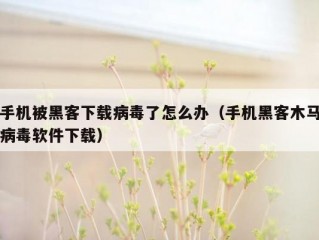 手机被黑客下载病毒了怎么办（手机黑客木马病毒软件下载）