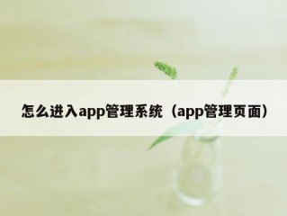 怎么进入app管理系统（app管理页面）