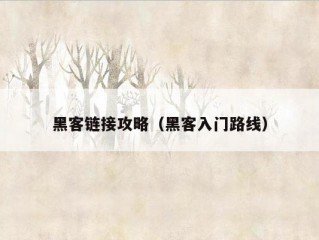 黑客链接攻略（黑客入门路线）