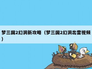 梦三国2幻洞新攻略（梦三国2幻洞出雷视频）