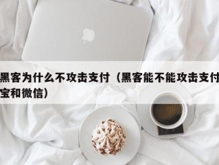 黑客为什么不攻击支付（黑客能不能攻击支付宝和微信）