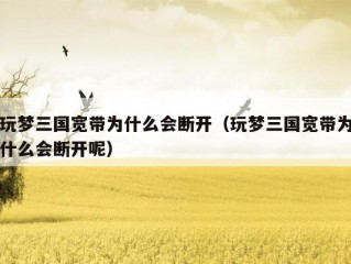 玩梦三国宽带为什么会断开（玩梦三国宽带为什么会断开呢）