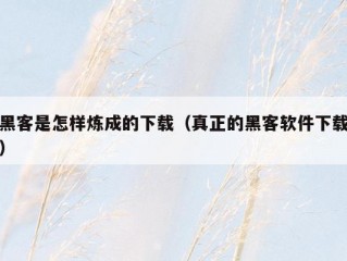 黑客是怎样炼成的下载（真正的黑客软件下载）