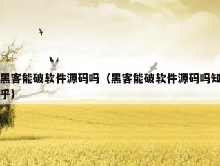 黑客能破软件源码吗（黑客能破软件源码吗知乎）