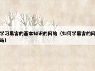 学习黑客的基本知识的网站（如何学黑客的网站）