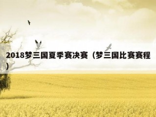 2018梦三国夏季赛决赛（梦三国比赛赛程）