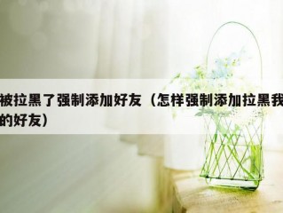 被拉黑了强制添加好友（怎样强制添加拉黑我的好友）