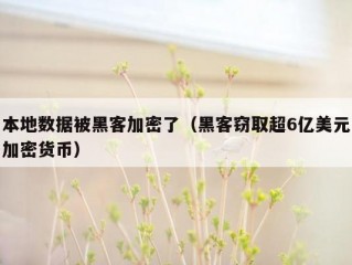 本地数据被黑客加密了（黑客窃取超6亿美元加密货币）